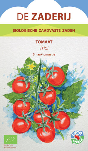Tomaat – Trixi Tomaat – Trixi