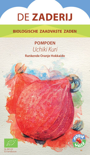 Pompoen Uchiki Kuri Pompoen Uchiki Kuri