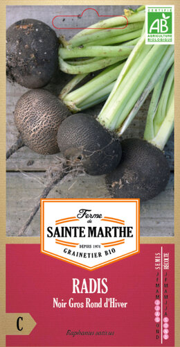 Ramanas 'Noir Gros Rond d'Hiver'