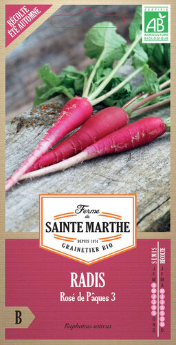 Radijs 'Rosé de Pâques 3'