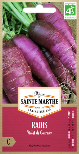 Radijs 'Violet de Gournay' (winter)