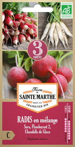 Radijs Melange 'Sora/Flamboyant 2/Chandelle de glace