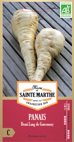 Pastinaak 'Demi Long de Guernesey'