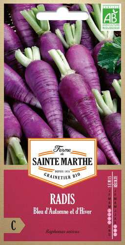 Radijs 'Blue d'Automne et d'Hiver'