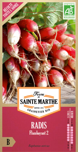 Radijs 'Flamboyant 2'