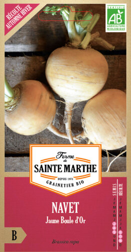 Raap 'Jaune Boule d'Or'