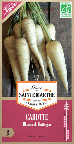 Wortel 'Blanche de Kuttingen'
