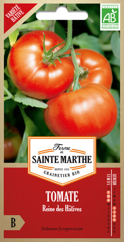 Tomaat 'Reine des Hâtives'