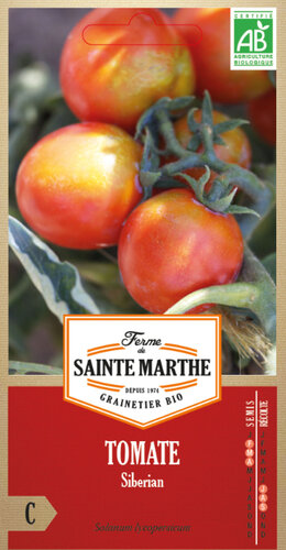 Tomaat 'Siberian'