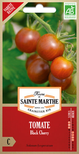 Tomaat 'Black Cherry' Tomaat 'Black Cherry'