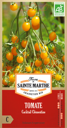 Tomaat ' Cocktail Clementine' Tomaat ' Cocktail Clementine'