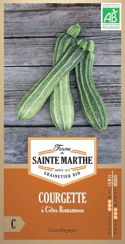 Courgette 'à Côtes Romanesco'