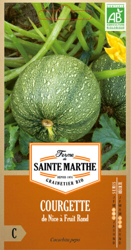 Courgette 'de Nice à Fruit Rond'