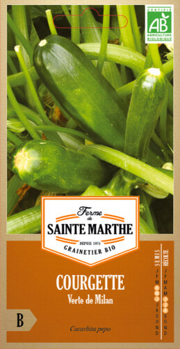 Courgette 'Verte de Milan'