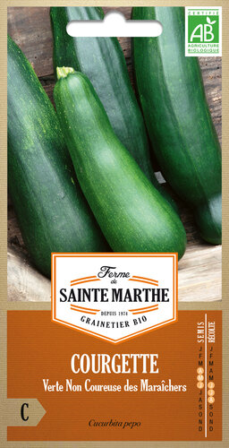Courgette 'Verte Non Courseuse des Maraîchers'