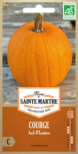 Pompoen 'Jack O Lantern'