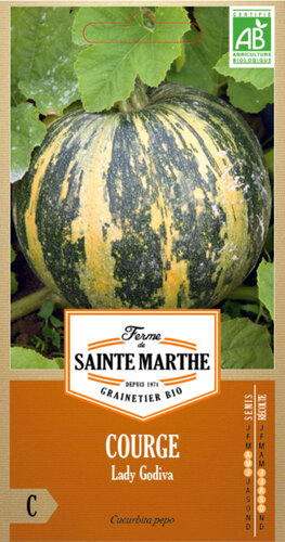 Pompoen 'Lady Godiva'