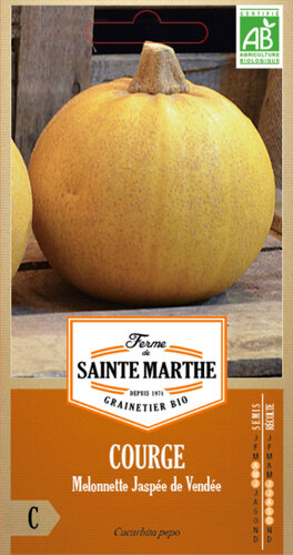Pompoen 'Melonnette Jespée de Vendée'