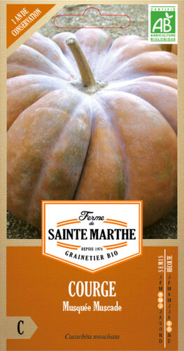 Pompoen 'Musquée Muscade'