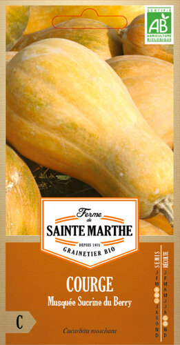 Butternut Squash 'Musquée Sucrine du Berry'