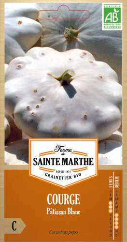 Patisson 'Pâtisson blanc'