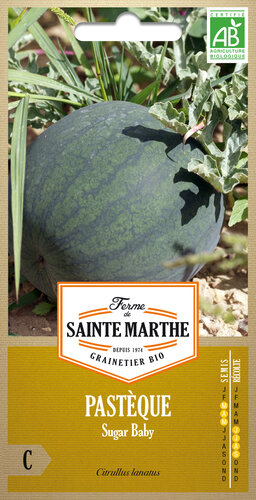 Watermeloen 'Sugar Baby'