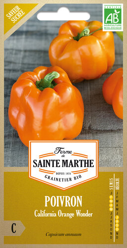 Paprika 'California Orange Wonder'