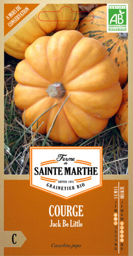 Pompoen 'Jack Be Little'