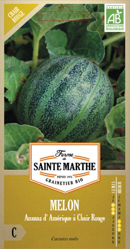 Meloen 'Ananas d'Amérique à Chair Rouge'