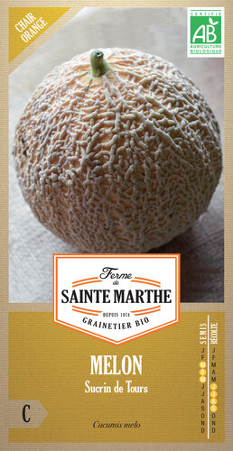 Meloen 'Sucrin de Tours'