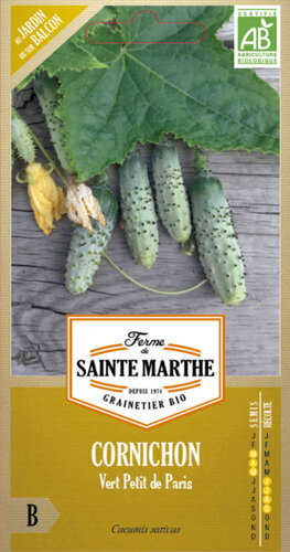 Augurk 'Vert Petit de Paris'