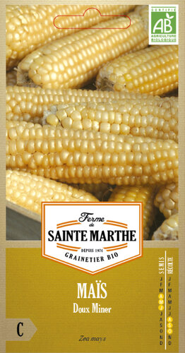 Suikermais 'Doux Miner'