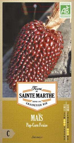 Pofmais 'Strawberry'