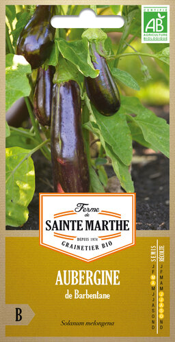 Aubergine 'De Barbentane'