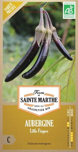 Aubergine 'Little Fingers'