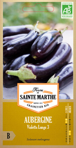 Aubergine 'Violetta Lunga'