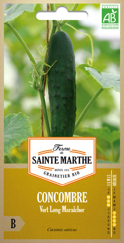 Komkommer 'Vert Long Maraîcher'