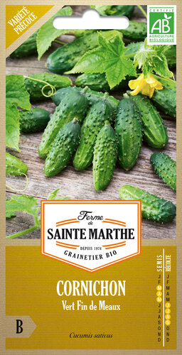 Augurk 'Vert Fin de Meaux'