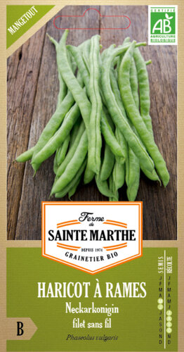 Stokspekboon 'Neckarköningin'