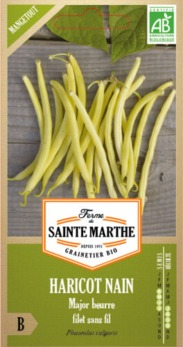 Naaldboon (stam) 'Major Buerre'