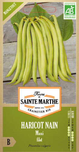 Naaldboon (stam) 'Maxi Filet'