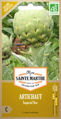 Artisjok 'Imperial Star'