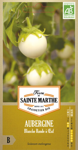 Aubergine 'Blanche Ronde à Œuf'