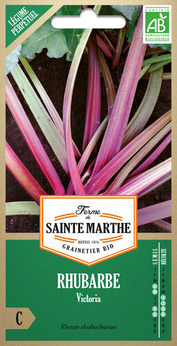 Rabarber 'Victoria'