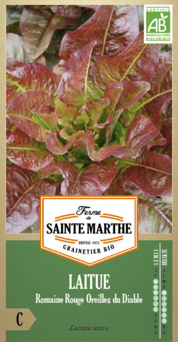 Rode Romeinse Sla 'OREILLES DU DIABLE'