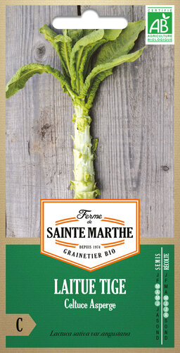 Asperge Sla Asperge Sla
