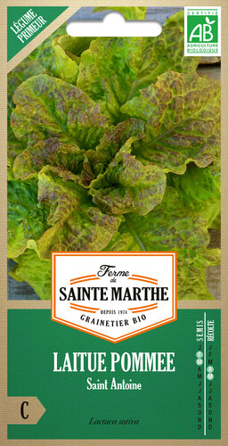 Kropsla 'Saint Antoine'