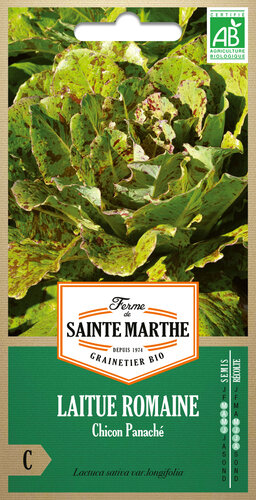 Sla Romaine 'Chicon Panaché'