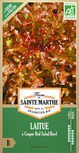 Pluksla 'Red Salad Bowl