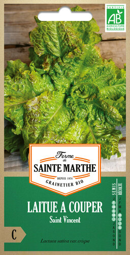 Pluksla 'Catalogna O Cerbiatta'